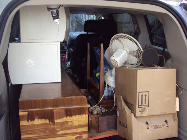 Best Hoarding Cleanup  in Wixom, MI